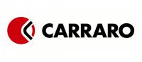 Рулевой цилиндр Terrion 10000040 / Carraro 132752