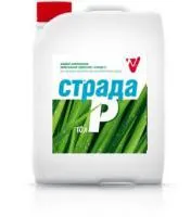 Страда Р