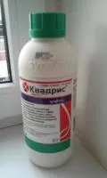 Квадрис, СК