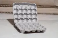 Упаковка для перепелиных яиц