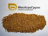 Горчица белая Радуга
