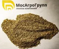 Семена мятлика Эвора